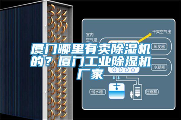 廈門哪里有賣除濕機的？廈門工業(yè)除濕機廠家