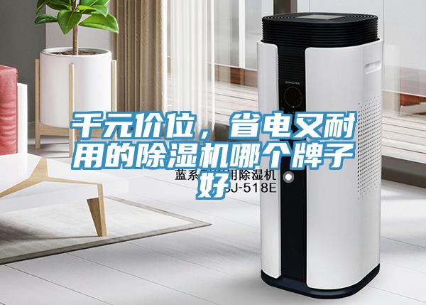 千元價(jià)位，省電又耐用的除濕機(jī)哪個(gè)牌子好