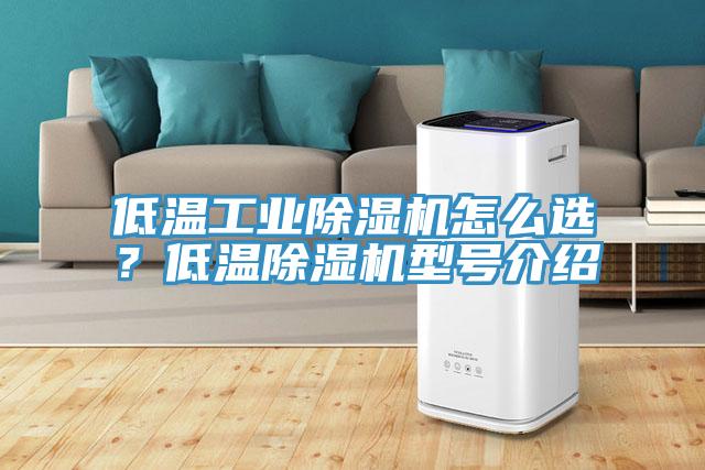 低溫工業(yè)除濕機怎么選？低溫除濕機型號介紹