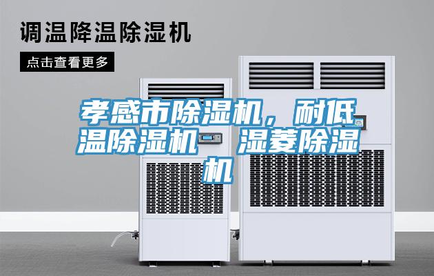 孝感市除濕機，耐低溫除濕機  濕菱除濕機