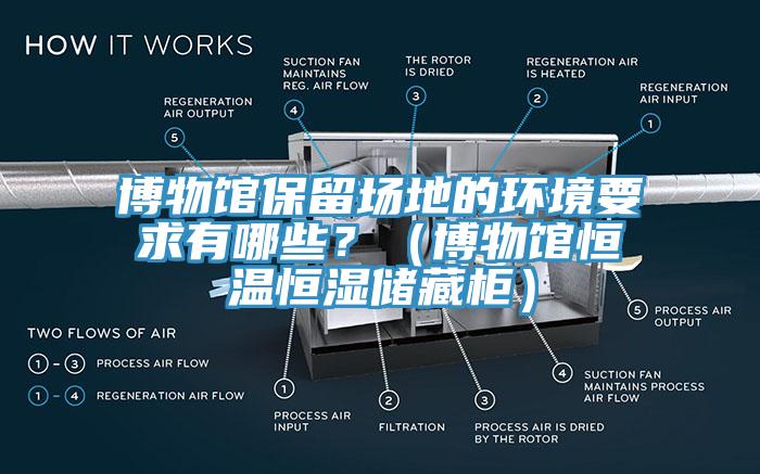 博物館保留場地的環(huán)境要求有哪些？（博物館恒溫恒濕儲藏柜）