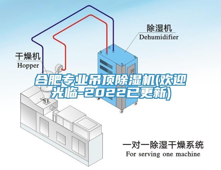 合肥專業(yè)吊頂除濕機(歡迎光臨-2022已更新)