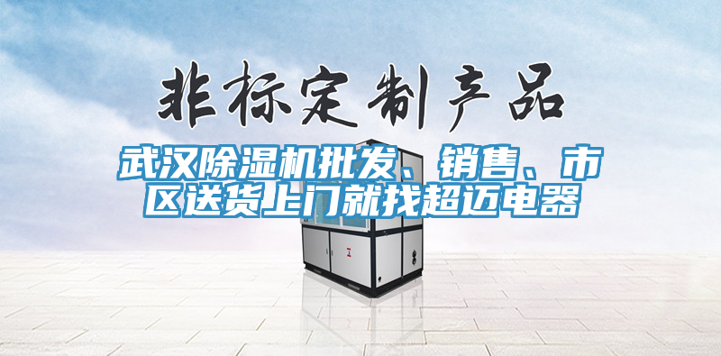 武漢除濕機批發(fā)、銷售、市區(qū)送貨上門就找超邁電器