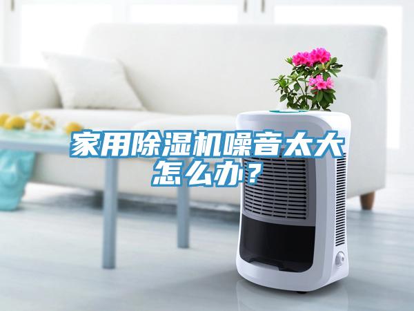 家用除濕機(jī)噪音太大怎么辦？