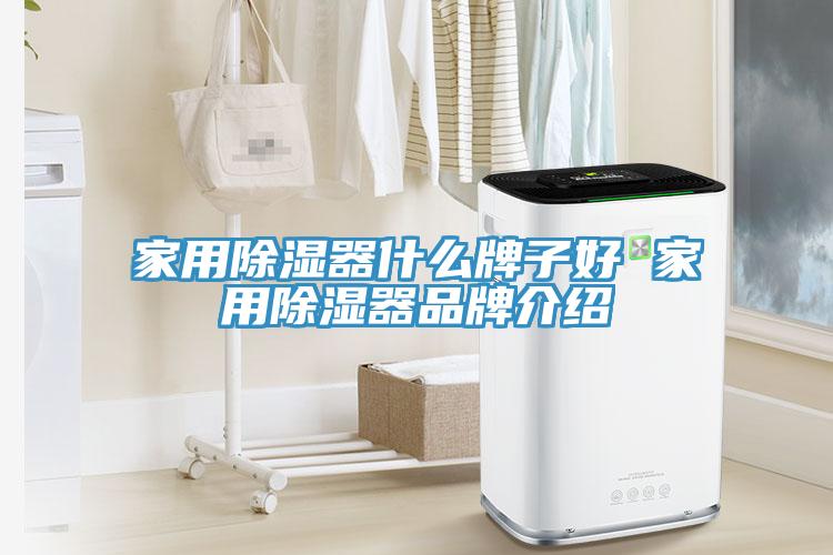 家用除濕器什么牌子好 家用除濕器品牌介紹