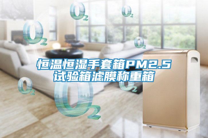 恒溫恒濕手套箱PM2.5試驗箱濾膜稱重箱