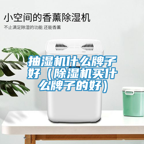 抽濕機(jī)什么牌子好（除濕機(jī)買什么牌子的好）