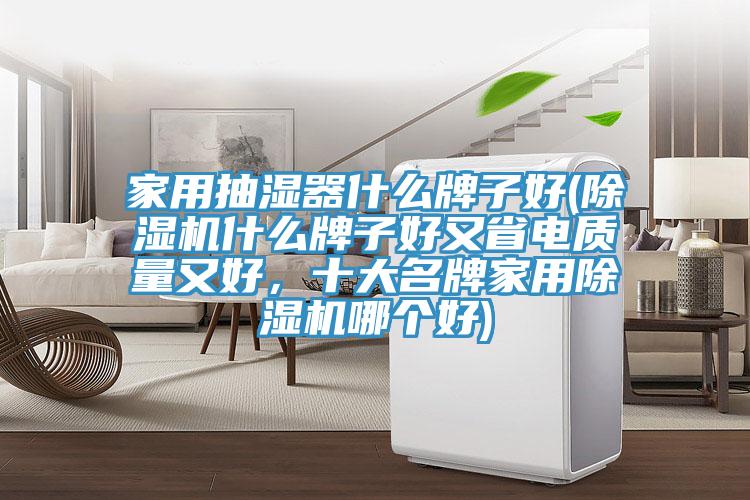 家用抽濕器什么牌子好(除濕機什么牌子好又省電質量又好，十大名牌家用除濕機哪個好)