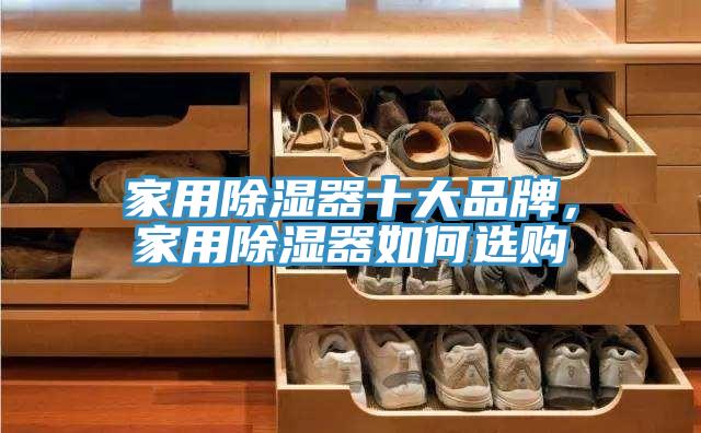 家用除濕器十大品牌，家用除濕器如何選購