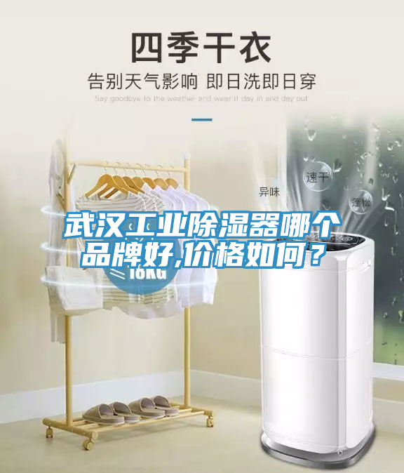 武漢工業(yè)除濕器哪個品牌好,價格如何？