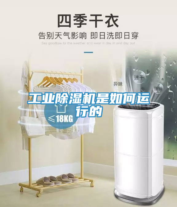 工業(yè)除濕機是如何運行的