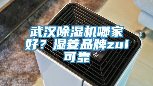 武漢除濕機(jī)哪家好？濕菱品牌zui可靠