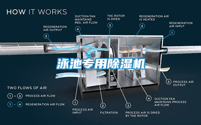 泳池專用除濕機