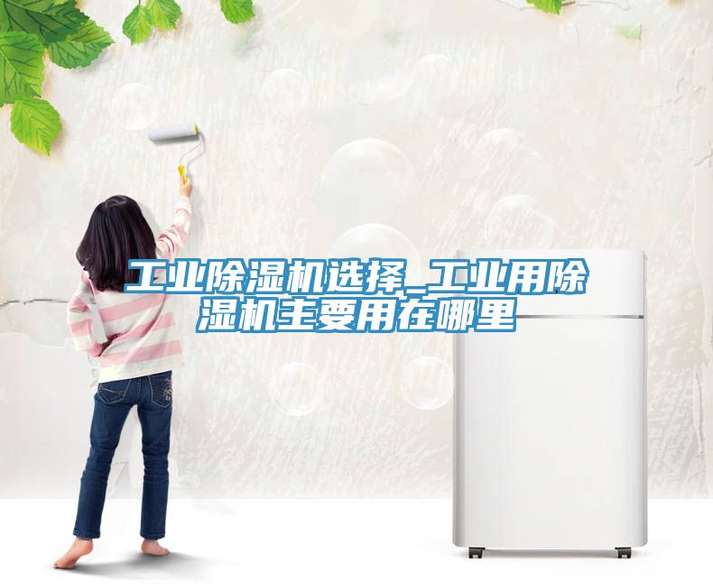 工業(yè)除濕機(jī)選擇_工業(yè)用除濕機(jī)主要用在哪里