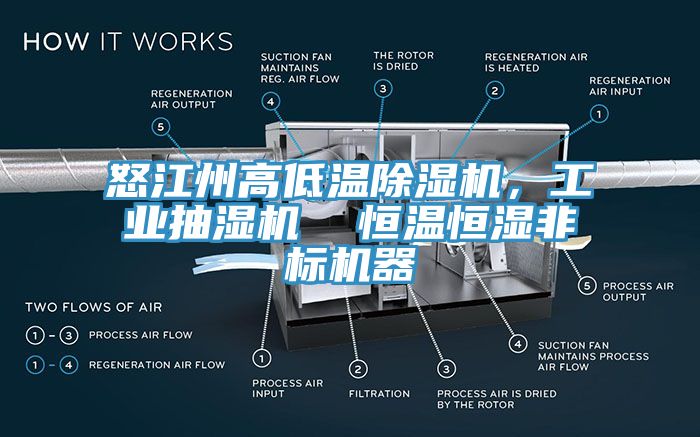 怒江州高低溫除濕機(jī)，工業(yè)抽濕機(jī)  恒溫恒濕非標(biāo)機(jī)器