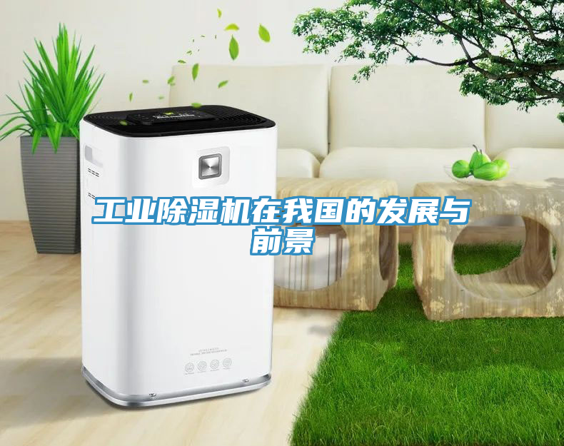 工業(yè)除濕機在我國的發(fā)展與前景