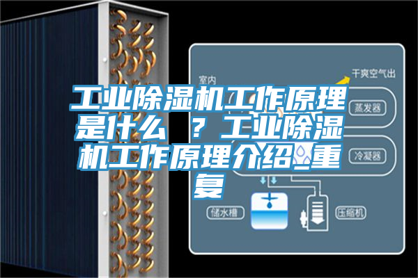 工業(yè)除濕機工作原理是什么 ？工業(yè)除濕機工作原理介紹_重復