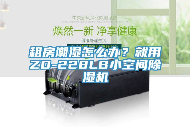 租房潮濕怎么辦？就用ZD-228LB小空間除濕機(jī)