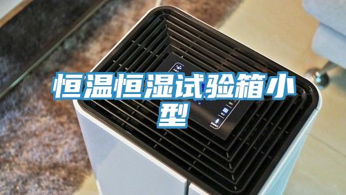 恒溫恒濕試驗(yàn)箱小型