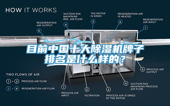 目前中國(guó)十大除濕機(jī)牌子排名是什么樣的？