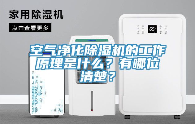 空氣凈化除濕機的工作原理是什么？有哪位清楚？