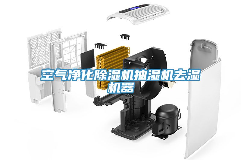 空氣凈化除濕機抽濕機去濕機器