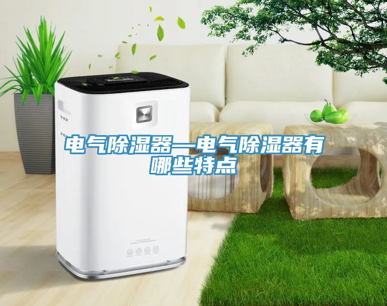 電氣除濕器—電氣除濕器有哪些特點(diǎn)