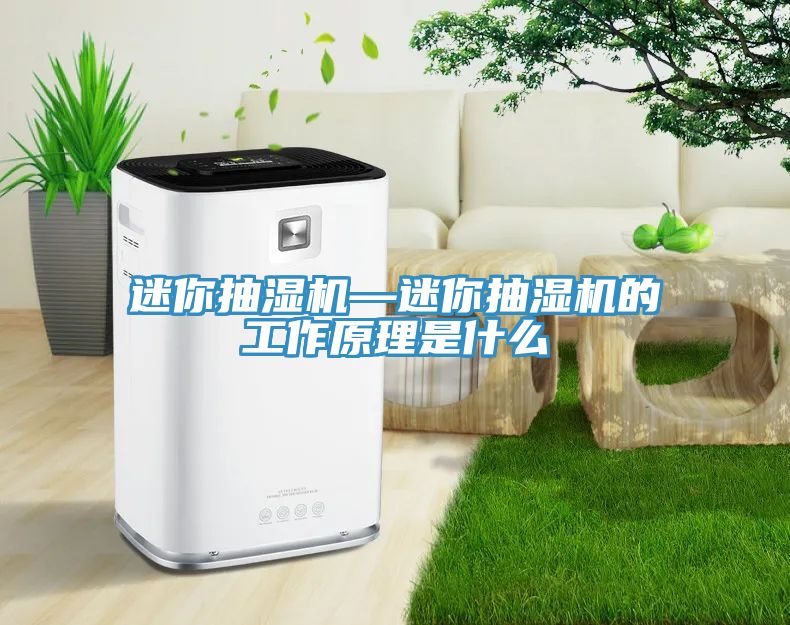 迷你抽濕機—迷你抽濕機的工作原理是什么