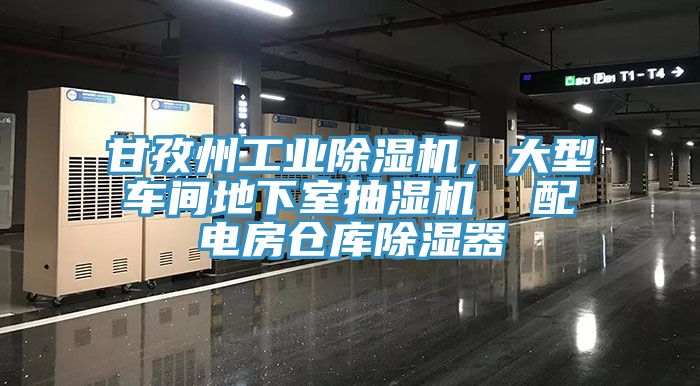 甘孜州工業(yè)除濕機，大型車間地下室抽濕機  配電房倉庫除濕器