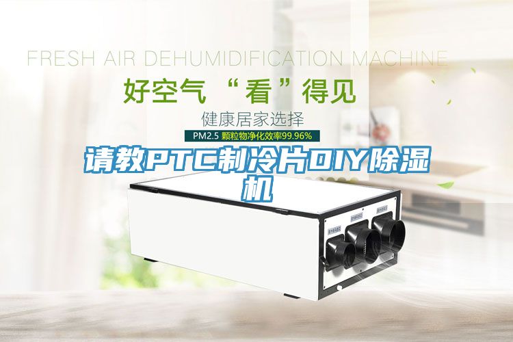 請教PTC制冷片DIY除濕機