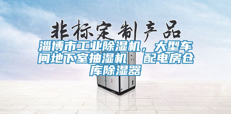 淄博市工業(yè)除濕機，大型車間地下室抽濕機  配電房倉庫除濕器