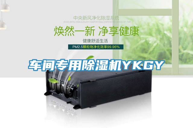 車間專用除濕機YKGY