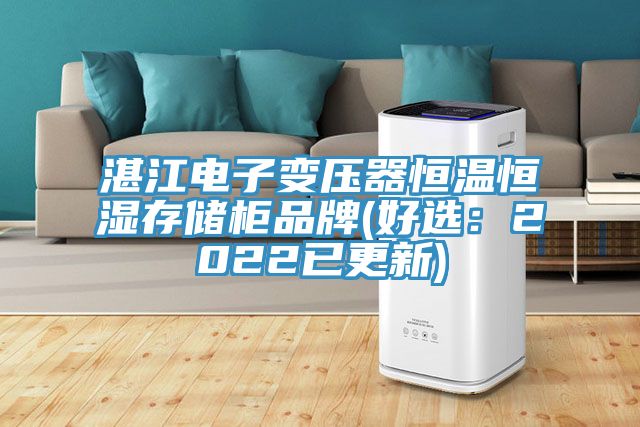 湛江電子變壓器恒溫恒濕存儲柜品牌(好選：2022已更新)