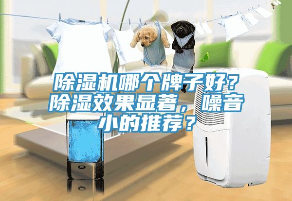 除濕機哪個牌子好？除濕效果顯著，噪音小的推薦？