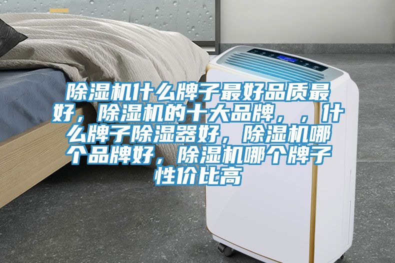 除濕機(jī)什么牌子最好品質(zhì)最好，除濕機(jī)的十大品牌，，什么牌子除濕器好，除濕機(jī)哪個(gè)品牌好，除濕機(jī)哪個(gè)牌子性價(jià)比高