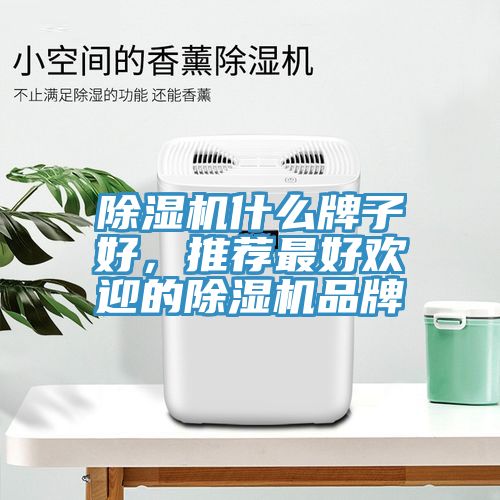 除濕機什么牌子好，推薦最好歡迎的除濕機品牌