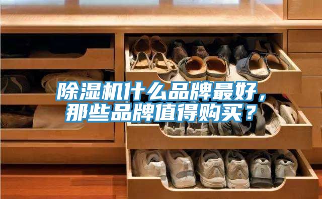 除濕機什么品牌最好，那些品牌值得購買？