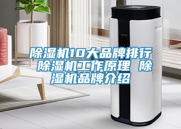 除濕機10大品牌排行 除濕機工作原理 除濕機品牌介紹