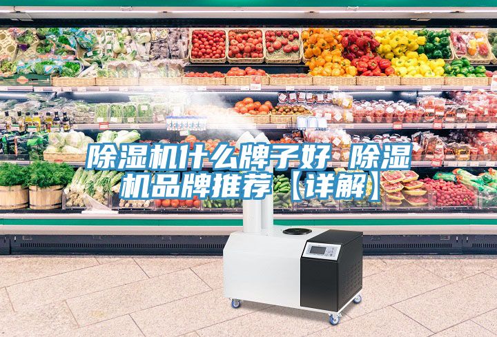 除濕機什么牌子好 除濕機品牌推薦【詳解】