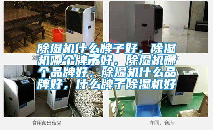 除濕機什么牌子好，除濕機哪個牌子好，除濕機哪個品牌好，除濕機什么品牌好，什么牌子除濕機好