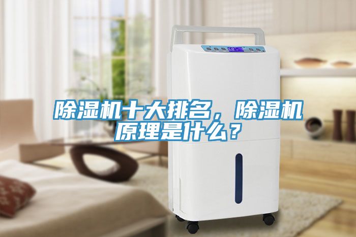 除濕機十大排名，除濕機原理是什么？