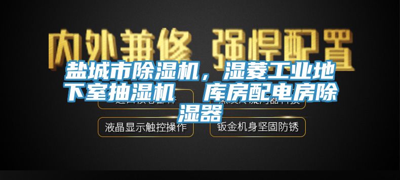 鹽城市除濕機，濕菱工業(yè)地下室抽濕機  庫房配電房除濕器