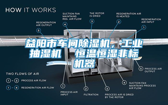 益陽市車間除濕機，工業(yè)抽濕機  恒溫恒濕非標(biāo)機器