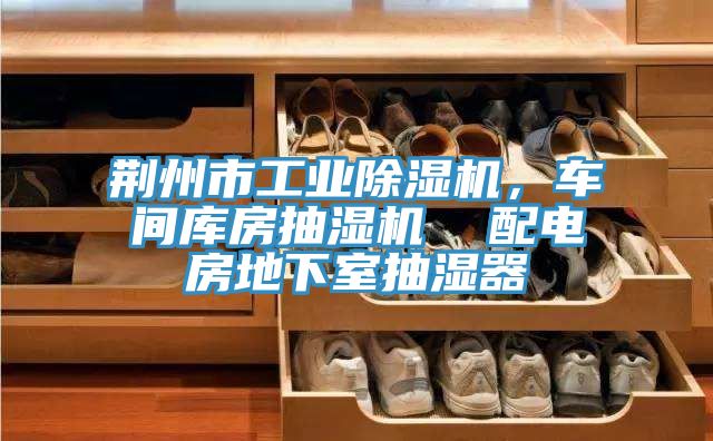 荊州市工業(yè)除濕機，車間庫房抽濕機  配電房地下室抽濕器