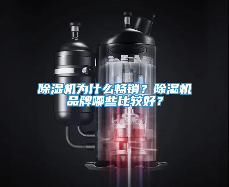 除濕機(jī)為什么暢銷？除濕機(jī)品牌哪些比較好？