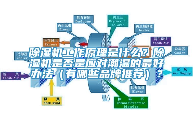 除濕機(jī)工作原理是什么？除濕機(jī)是否是應(yīng)對潮濕的最好辦法（有哪些品牌推薦）？