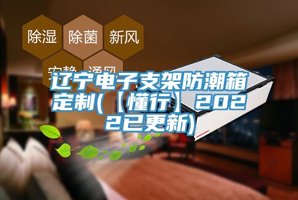 遼寧電子支架防潮箱定制(【懂行】2022已更新)