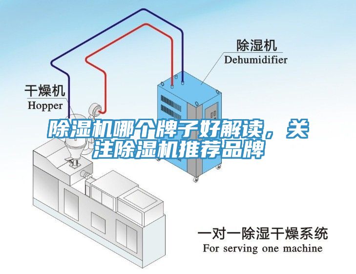 除濕機哪個牌子好解讀，關(guān)注除濕機推薦品牌