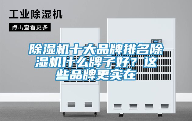 除濕機十大品牌排名除濕機什么牌子好？這些品牌更實在