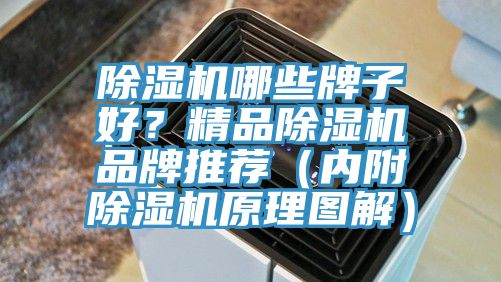 除濕機哪些牌子好？精品除濕機品牌推薦（內(nèi)附除濕機原理圖解）